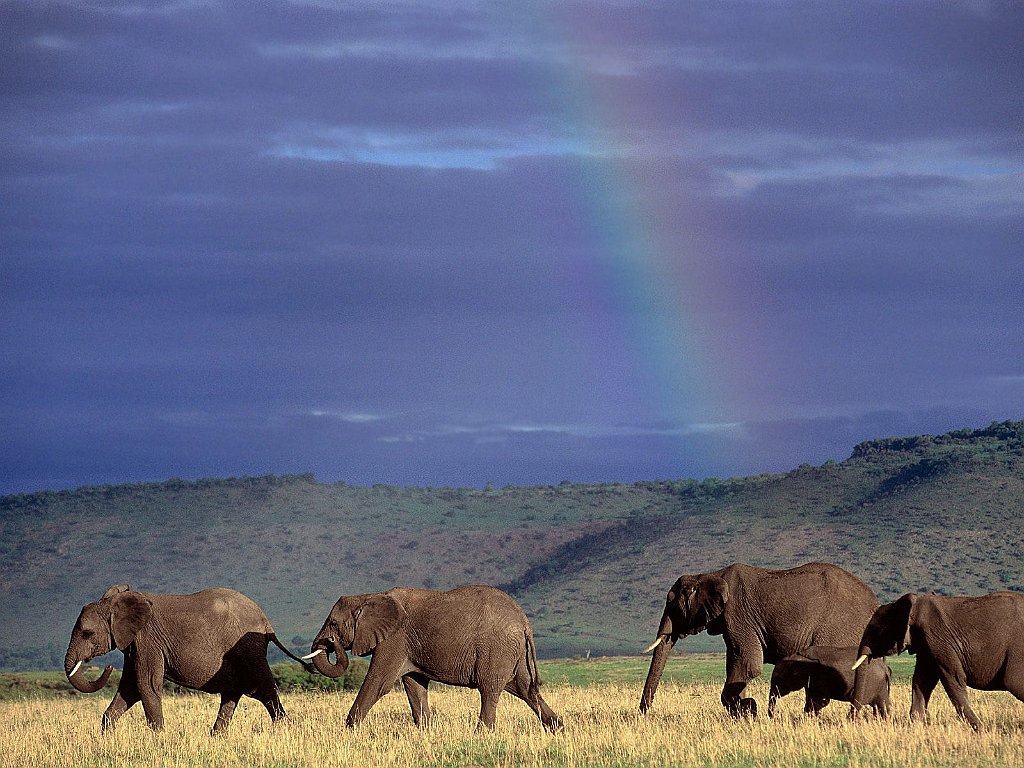 Walking Beneath the Rainbow Sky, Kenya